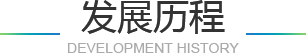 定制